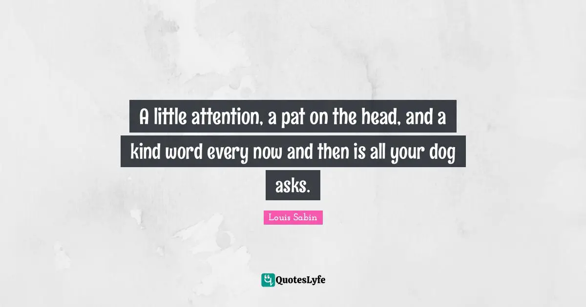 A little attention, a pat on the head, and a kind word every now and then is all your dog asks.