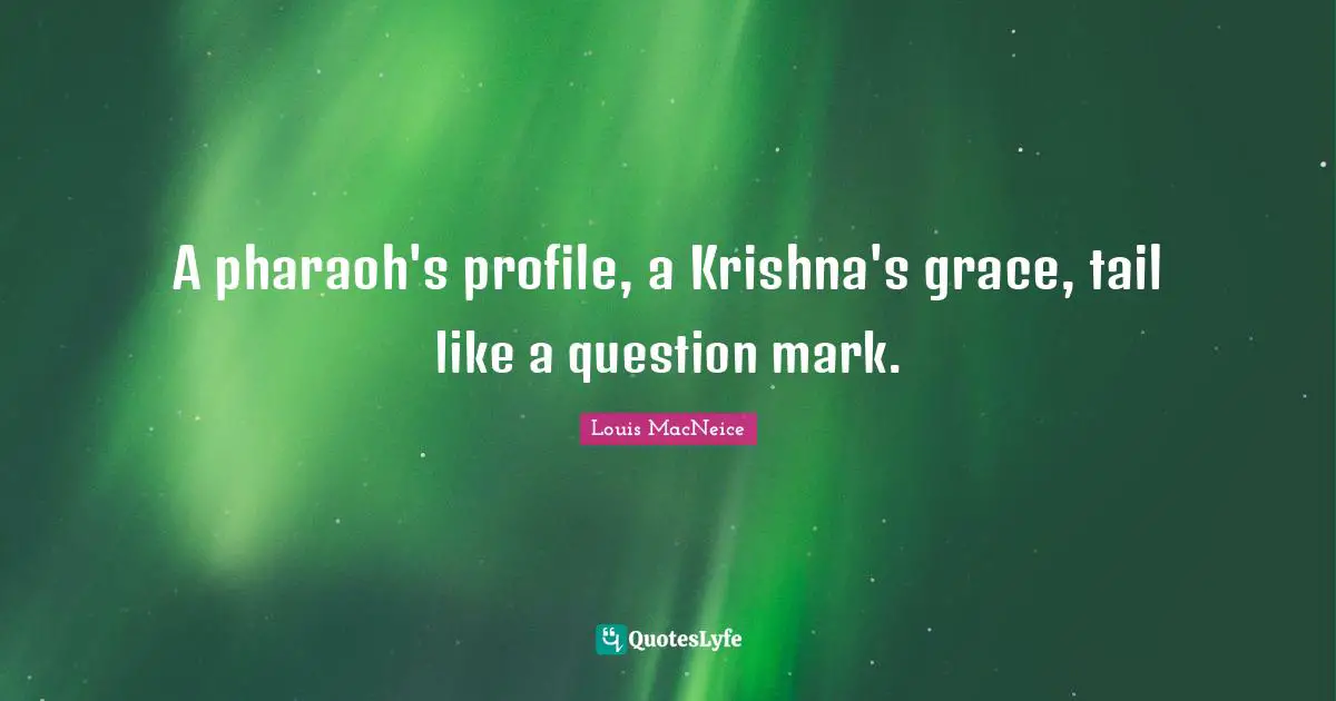 Question Quotes: "A pharaoh's profile, a Krishna's grace, tail like a question mark."