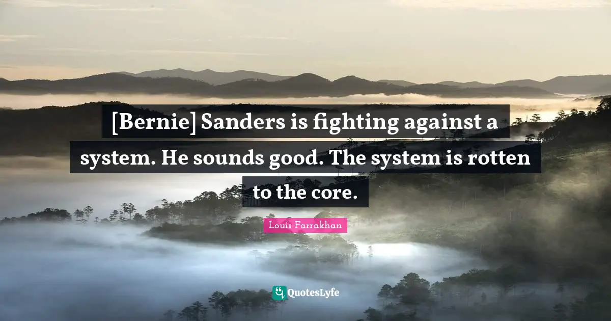[Bernie] Sanders is fighting against a system. He sounds good. The system is rotten to the core.
