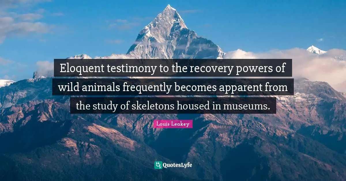 Skeletons Quotes: "Eloquent testimony to the recovery powers of wild animals frequently becomes apparent from the study of skeletons housed in museums."