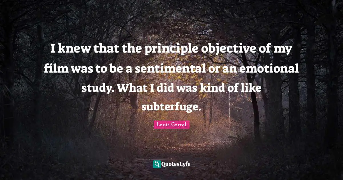 I knew that the principle objective of my film was to be a sentimental or an emotional study. What I did was kind of like subterfuge.