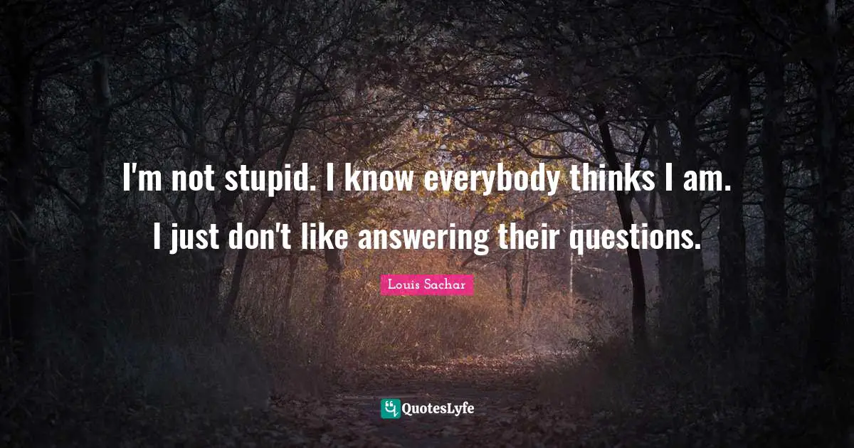 I'm not stupid. I know everybody thinks I am. I just don't like answering their questions.