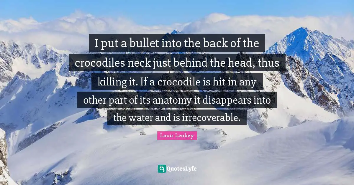 I put a bullet into the back of the crocodiles neck just behind the head, thus killing it. If a crocodile is hit in any other part of its anatomy it disappears into the water and is irrecoverable.
