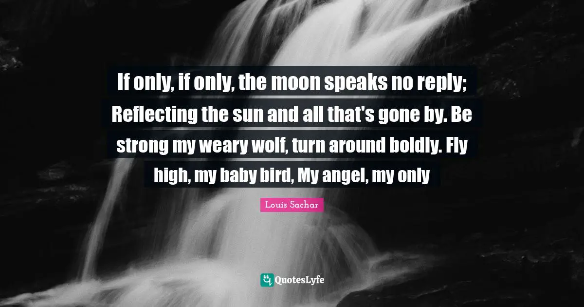 If only, if only, the moon speaks no reply; Reflecting the sun and all that's gone by. Be strong my weary wolf, turn around boldly. Fly high, my baby bird, My angel, my only