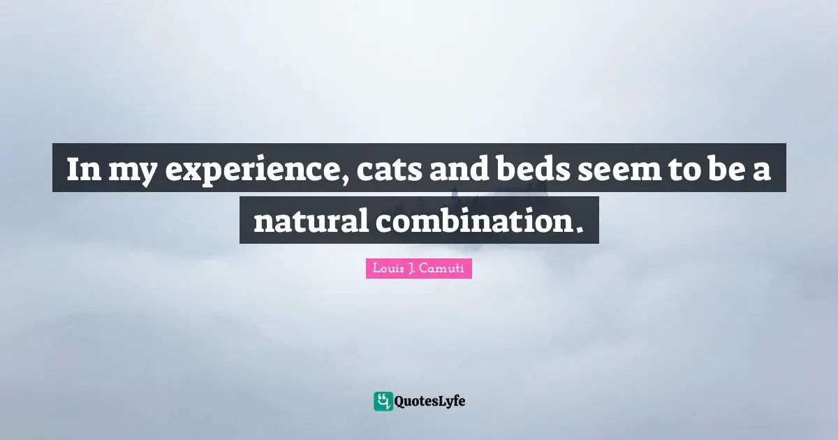 In my experience, cats and beds seem to be a natural combination.