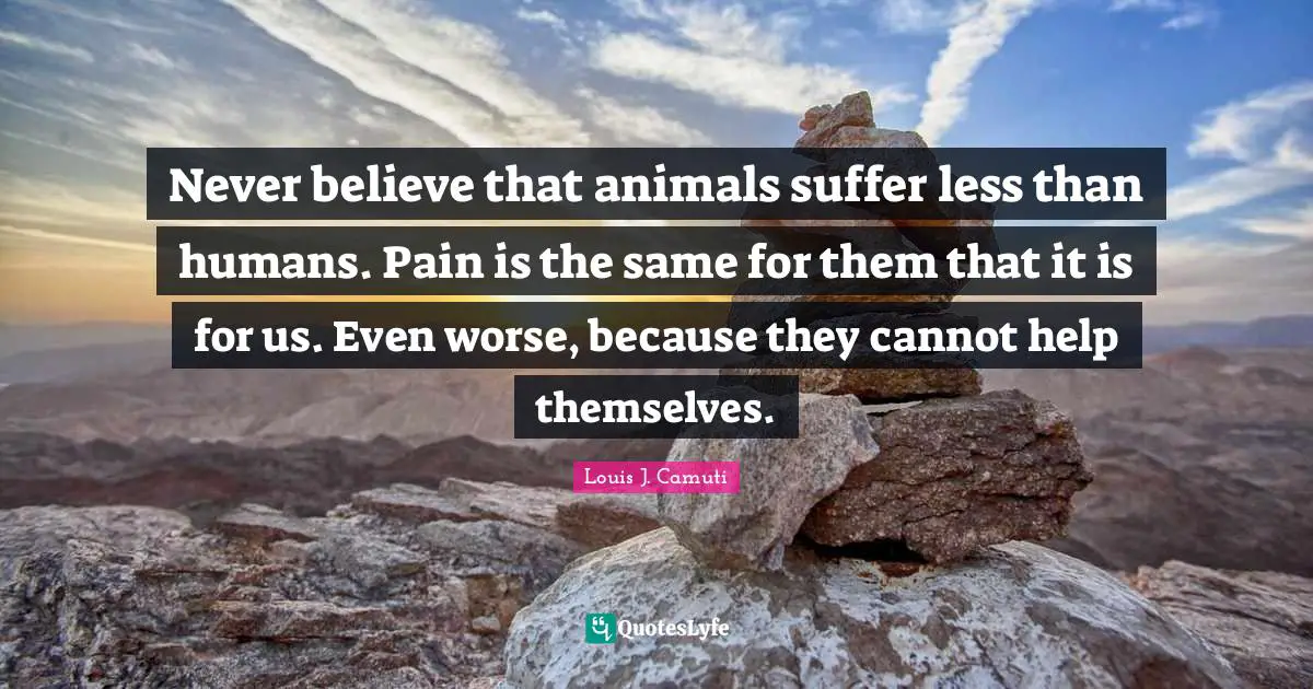Humans Quotes: "Never believe that animals suffer less than humans. Pain is the same for them that it is for us. Even worse, because they cannot help themselves."