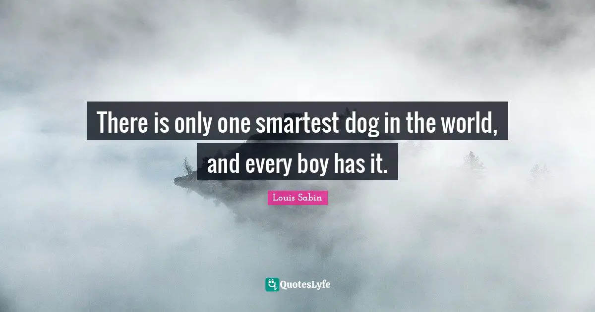 There is only one smartest dog in the world, and every boy has it.