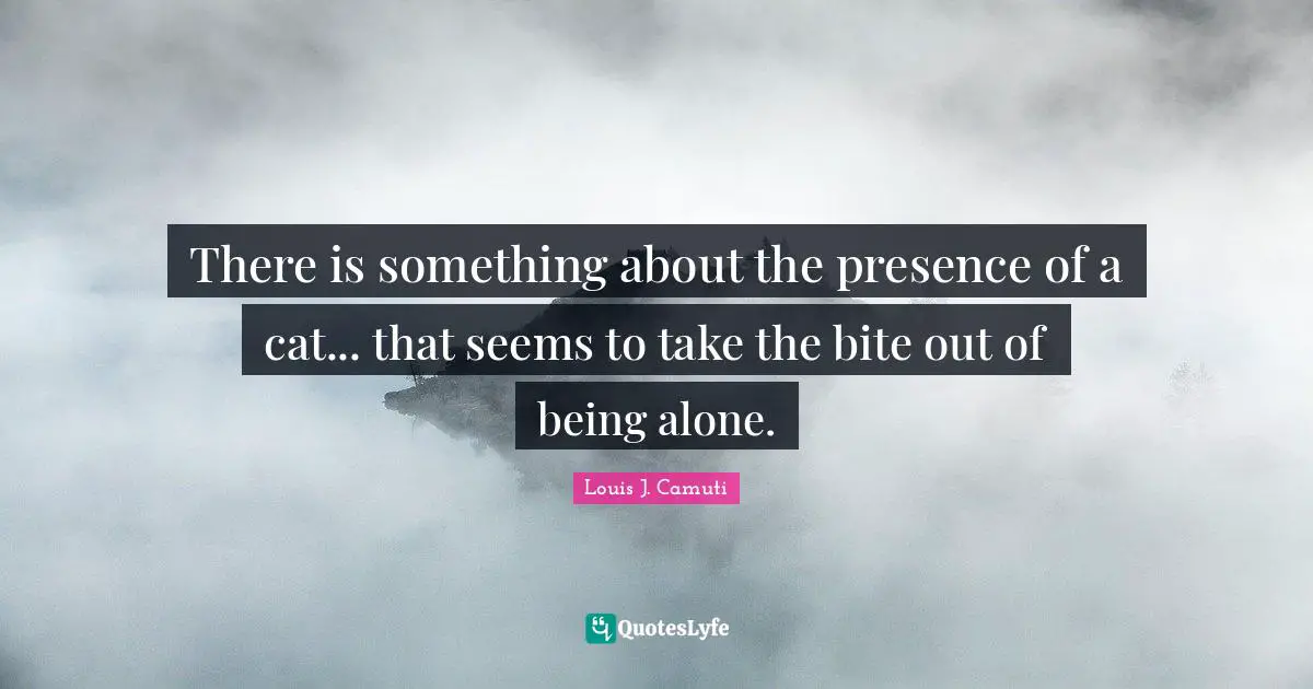 There is something about the presence of a cat... that seems to take the bite out of being alone.