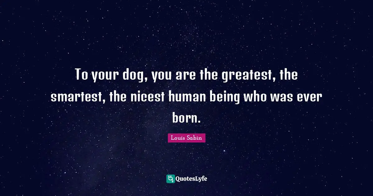 To your dog, you are the greatest, the smartest, the nicest human being who was ever born.