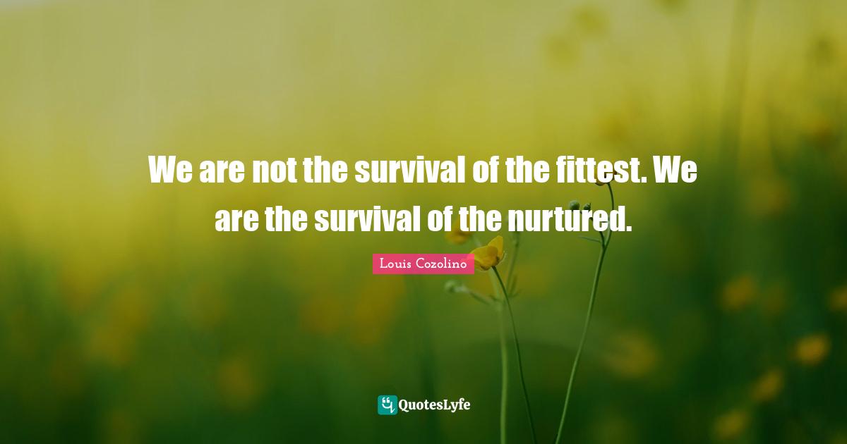 We are not the survival of the fittest. We are the survival of the nurtured.