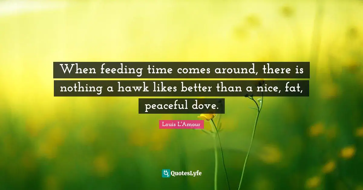 When feeding time comes around, there is nothing a hawk likes better than a nice, fat, peaceful dove.