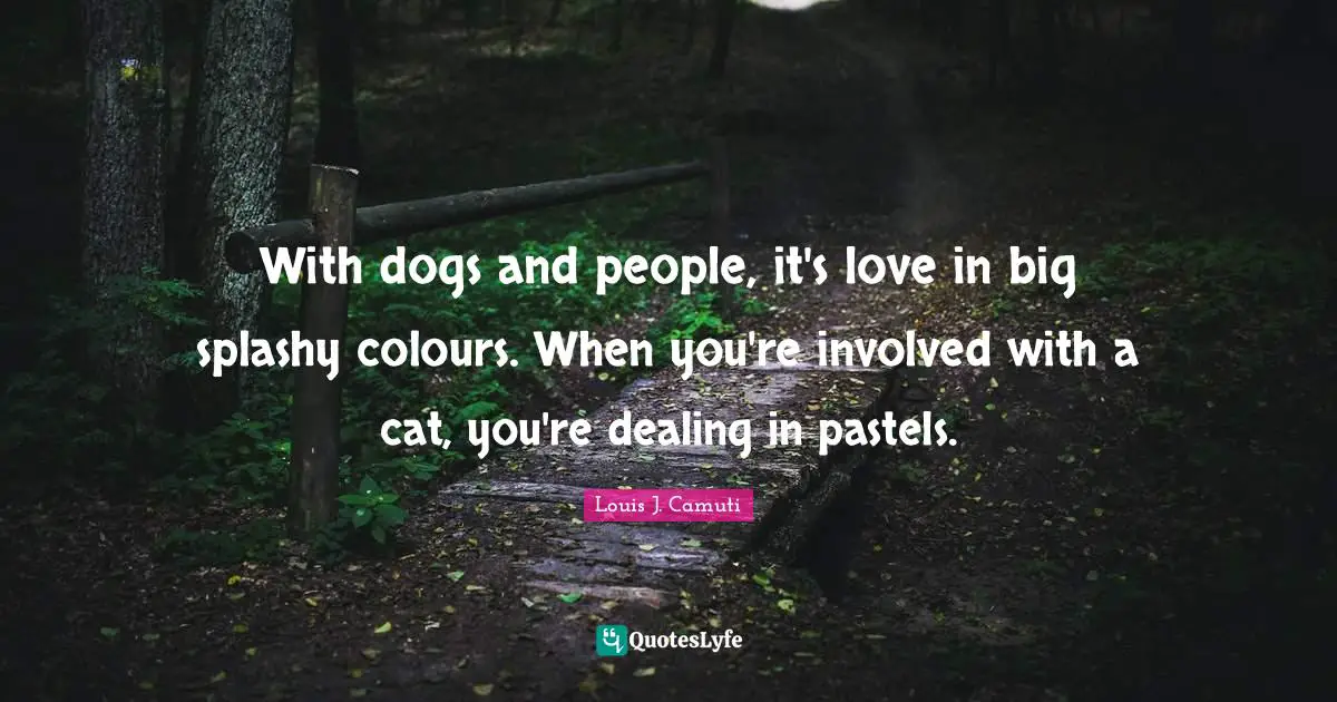 With dogs and people, it's love in big splashy colours. When you're involved with a cat, you're dealing in pastels.