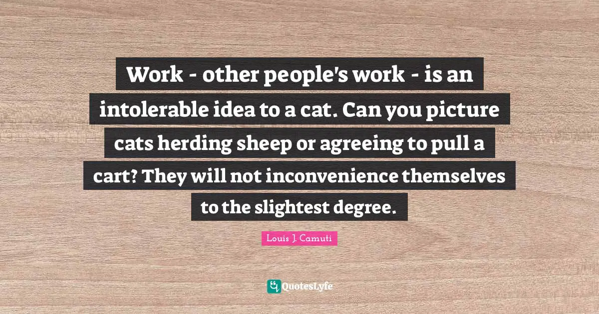 Work - other people's work - is an intolerable idea to a cat. Can you picture cats herding sheep or agreeing to pull a cart? They will not inconvenience themselves to the slightest degree.