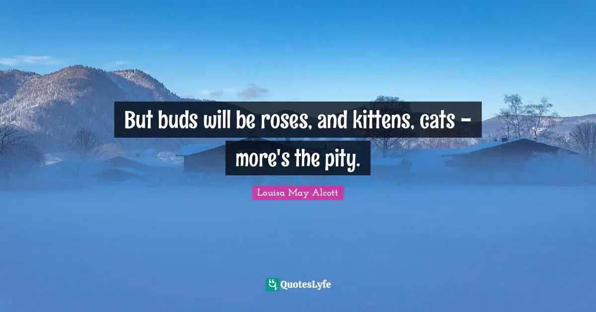 But buds will be roses, and kittens, cats - more's the pity.