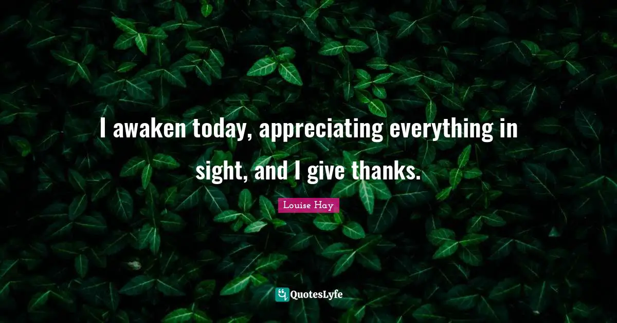 I awaken today, appreciating everything in sight, and I give thanks.