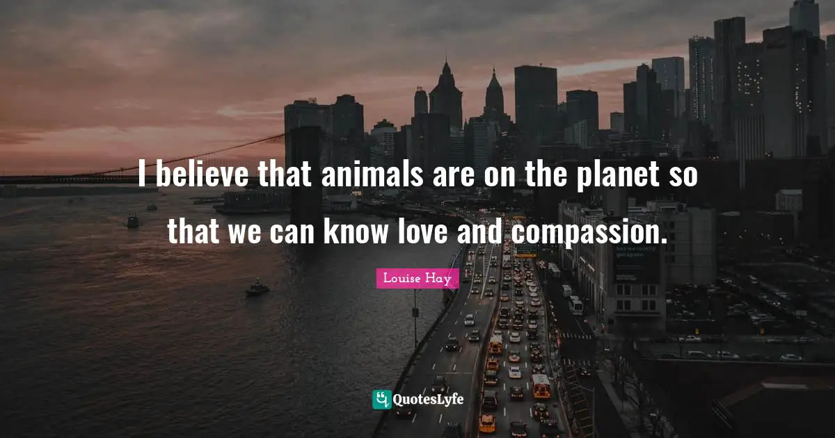 I believe that animals are on the planet so that we can know love and compassion.