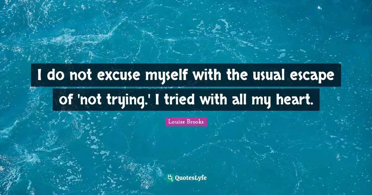 I do not excuse myself with the usual escape of 'not trying.' I tried with all my heart.