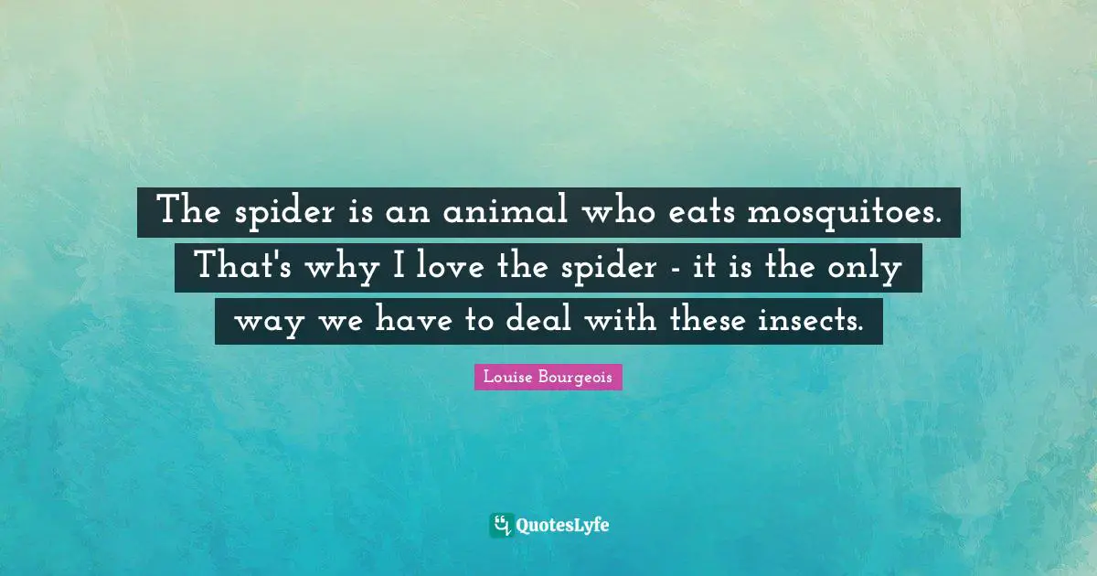 Mosquitoes Quotes: "The spider is an animal who eats mosquitoes. That's why I love the spider - it is the only way we have to deal with these insects."