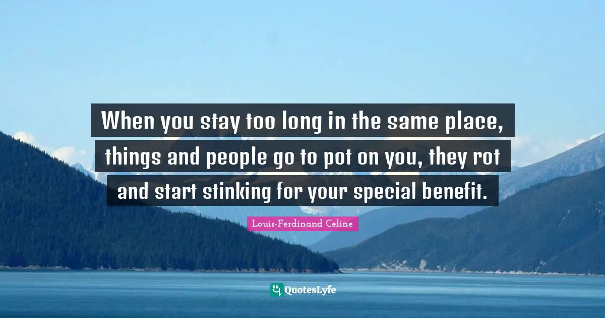 Pot Quotes: "When you stay too long in the same place, things and people go to pot on you, they rot and start stinking for your special benefit."