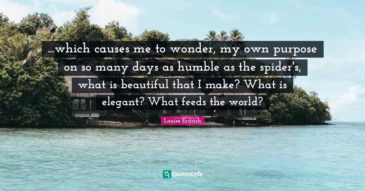 ...which causes me to wonder, my own purpose on so many days as humble as the spider's, what is beautiful that I make? What is elegant? What feeds the world?