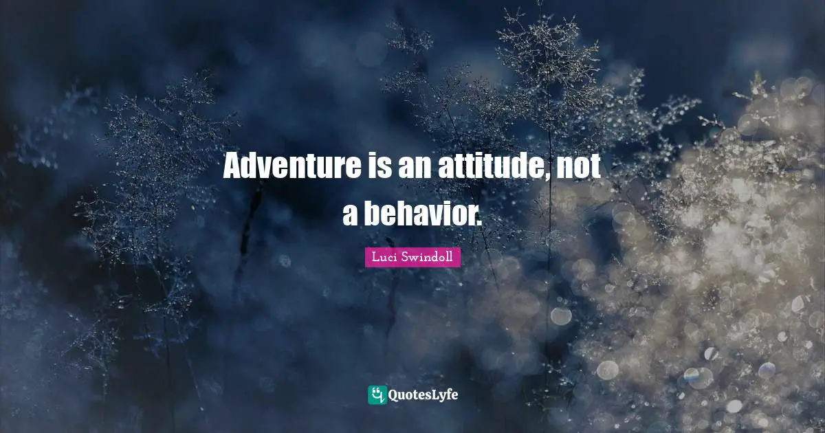 Luci Swindoll Quotes: "Adventure is an attitude, not a behavior."