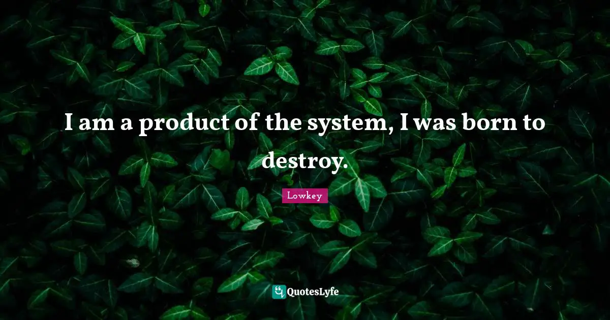 I am a product of the system, I was born to destroy.
