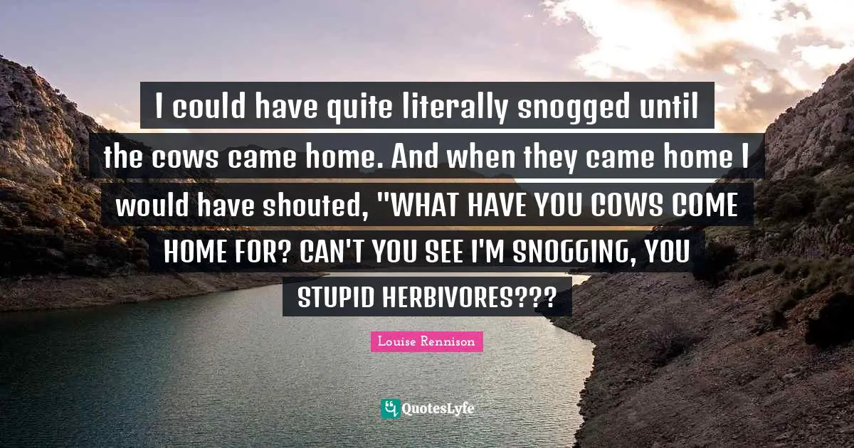 I could have quite literally snogged until the cows came home. And when they came home I would have shouted, "WHAT HAVE YOU COWS COME HOME FOR? CAN'T YOU SEE I'M SNOGGING, YOU STUPID HERBIVORES???