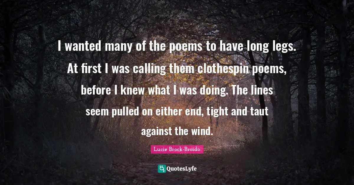 I wanted many of the poems to have long legs. At first I was calling them clothespin poems, before I knew what I was doing. The lines seem pulled on either end, tight and taut against the wind.