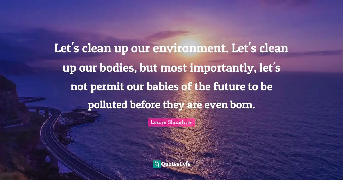 Louise Slaughter Quotes: "Let's clean up our environment. Let's clean up our bodies, but most importantly, let's not permit our babies of the future to be polluted before they are even born."