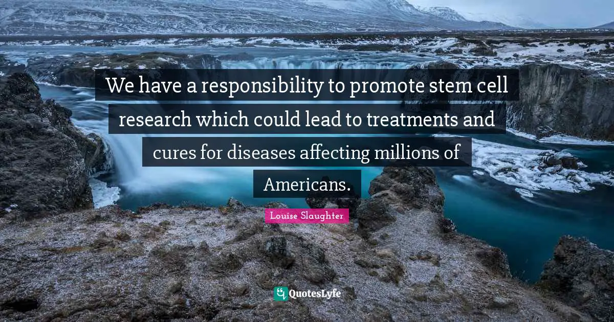 Louise Slaughter Quotes: "We have a responsibility to promote stem cell research which could lead to treatments and cures for diseases affecting millions of Americans."