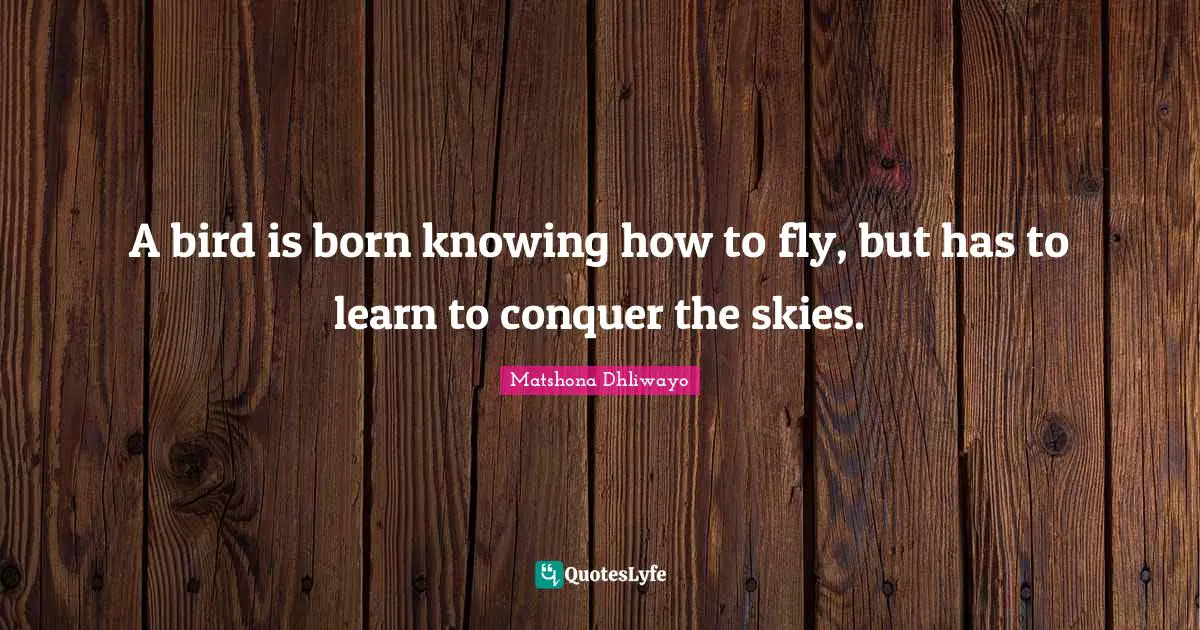 A bird is born knowing how to fly, but has to learn to conquer the skies.