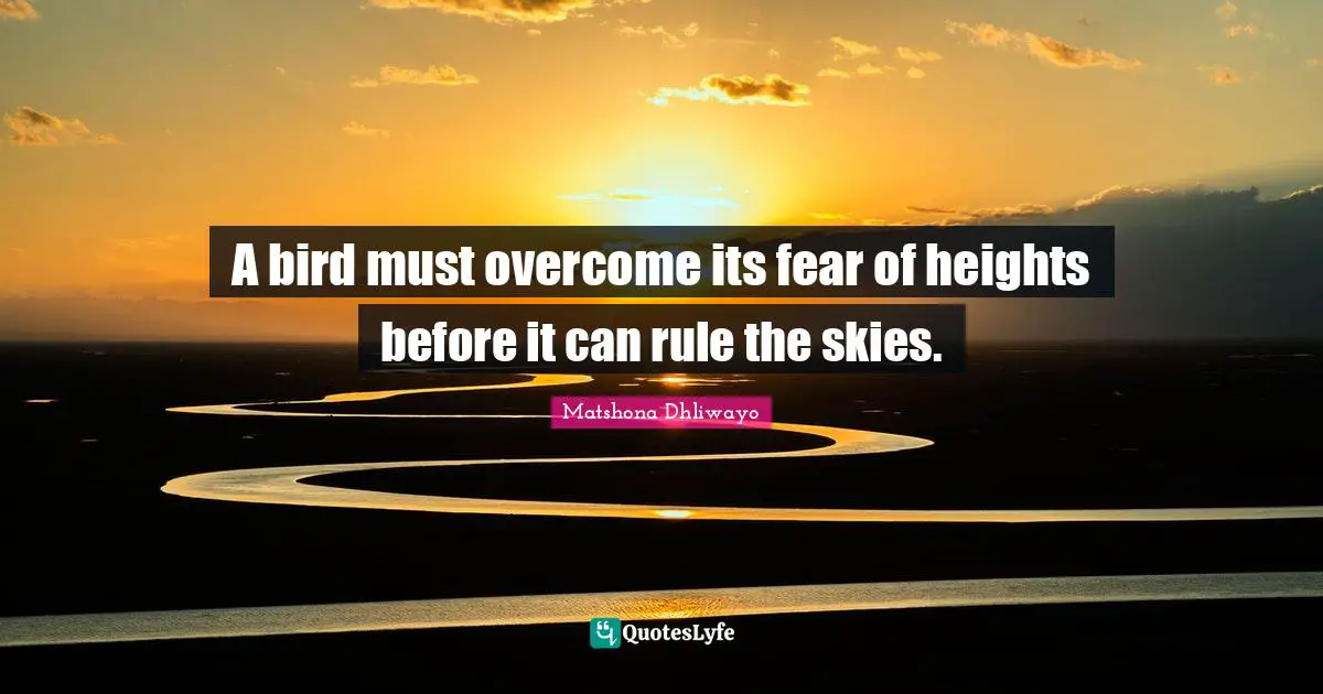 A bird must overcome its fear of heights before it can rule the skies.