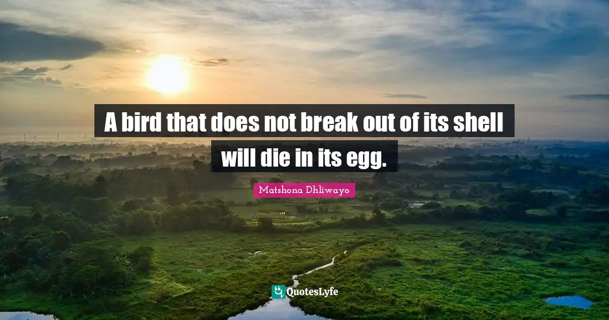 A bird that does not break out of its shell will die in its egg.