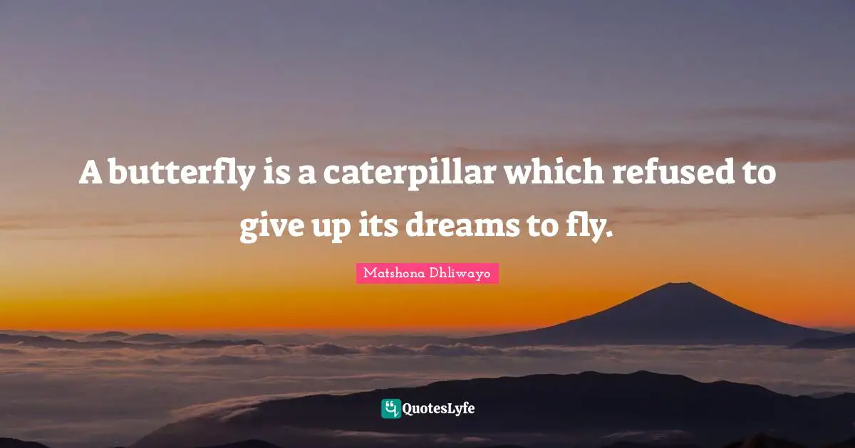 Matshona Dhliwayo Quotes: A butterfly is a caterpillar which refused to give up its dreams to fly.