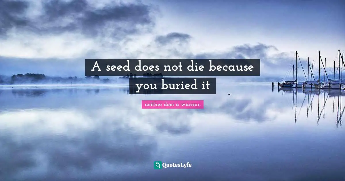 A seed does not die because you buried it