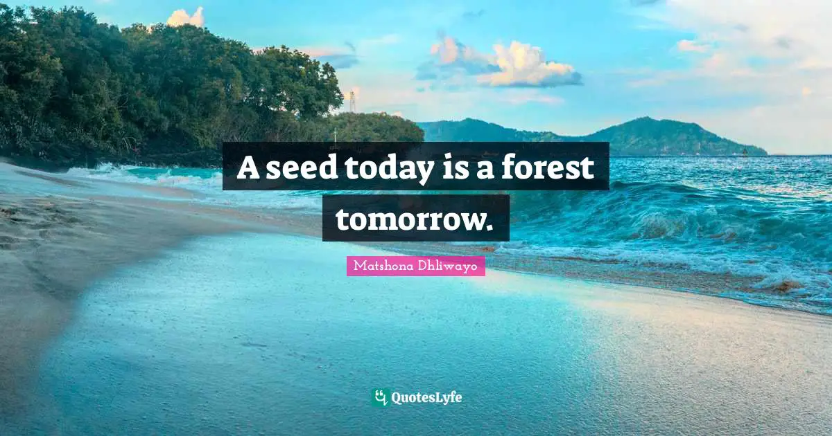 A seed today is a forest tomorrow.