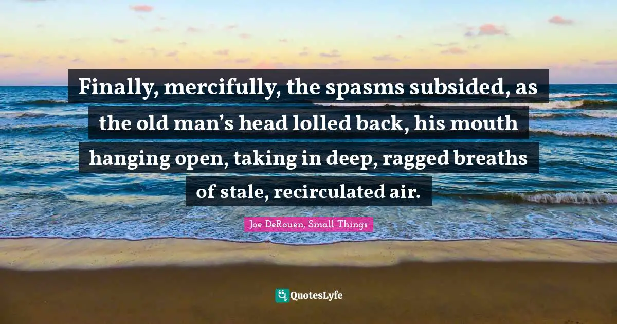 Finally, mercifully, the spasms subsided, as the old man’s head lolled back, his mouth hanging open, taking in deep, ragged breaths of stale, recirculated air.
