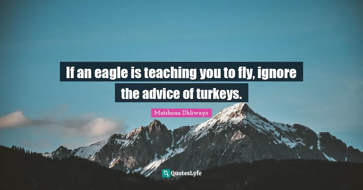 Matshona Dhliwayo Quotes: If an eagle is teaching you to fly, ignore the advice of turkeys.