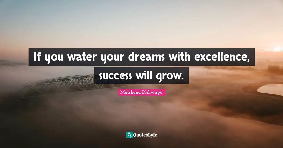 Matshona Dhliwayo Quotes: If you water your dreams with excellence, success will grow.