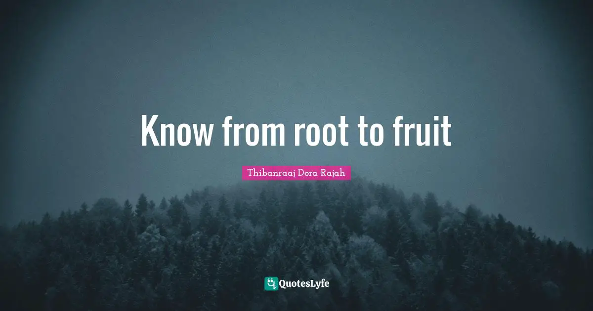 Know from root to fruit