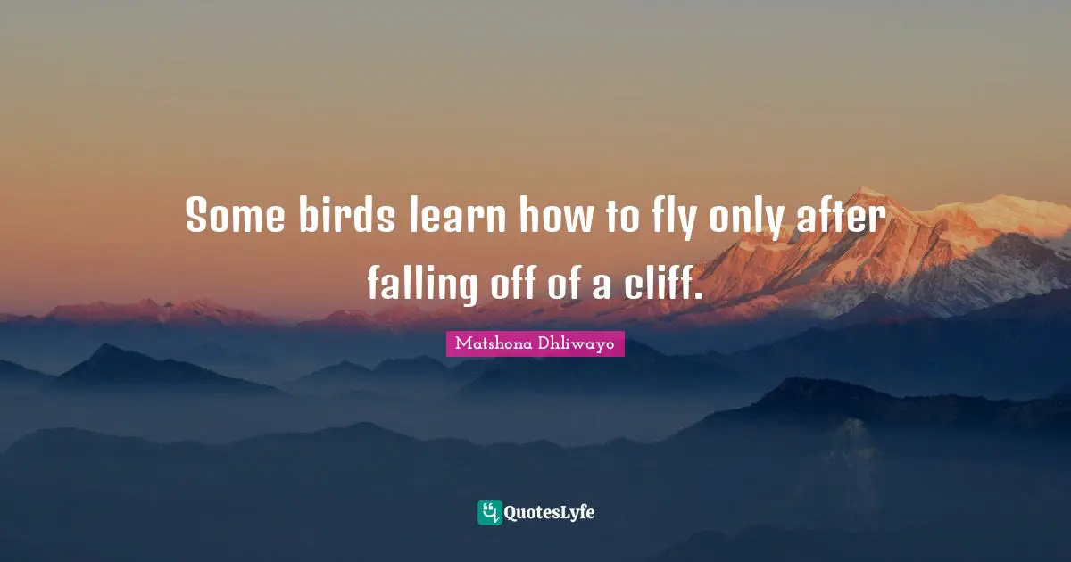 Some birds learn how to fly only after falling off of a cliff.