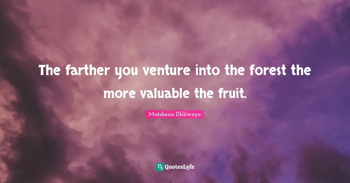 Matshona Dhliwayo Quotes: The farther you venture into the forest the more valuable the fruit.