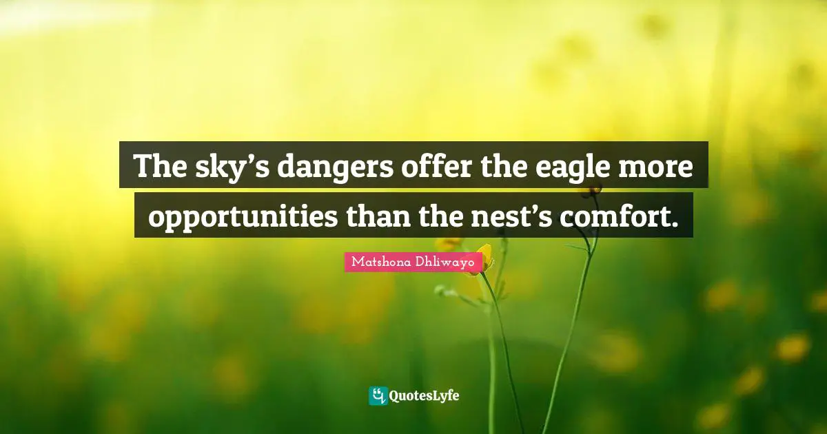 The sky’s dangers offer the eagle more opportunities than the nest’s comfort.