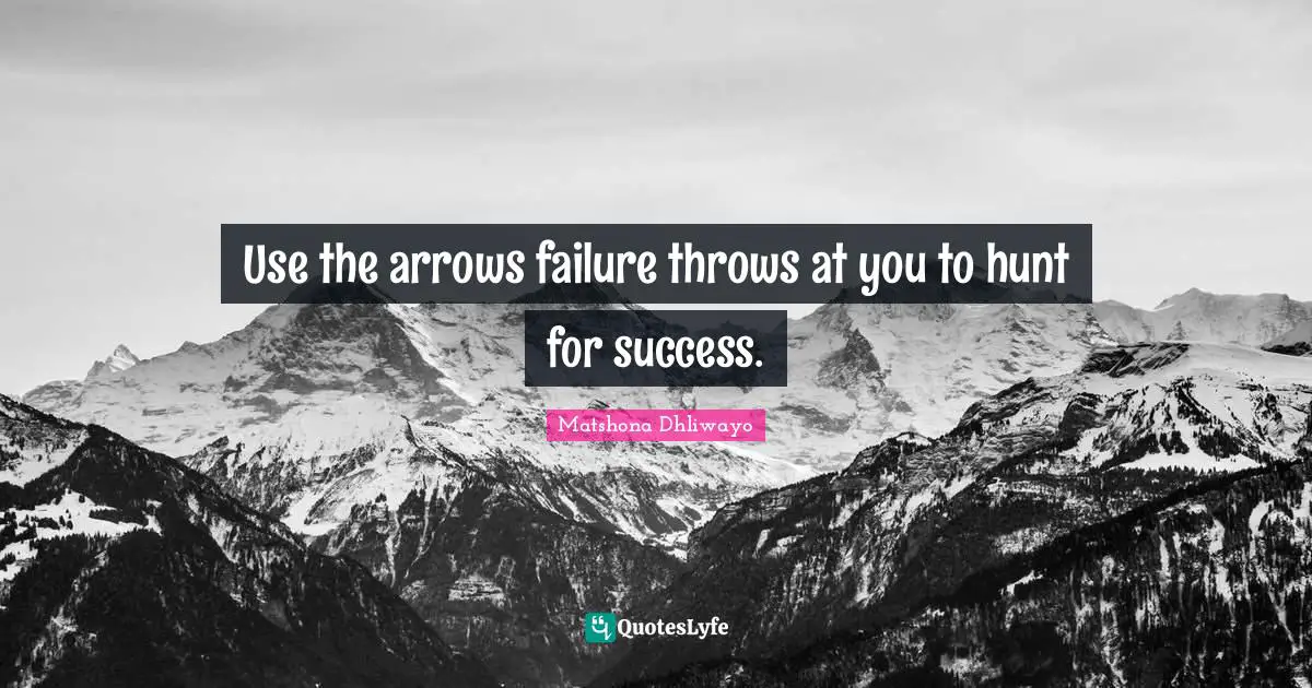Use the arrows failure throws at you to hunt for success.
