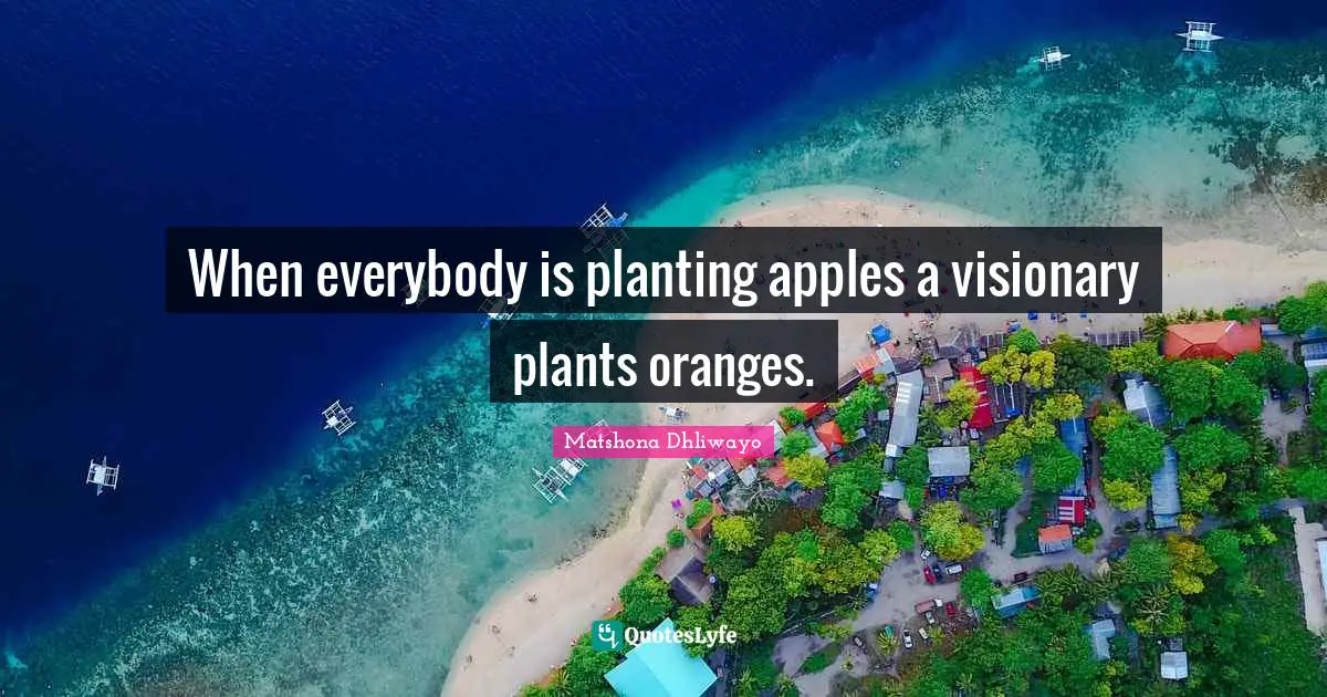 When everybody is planting apples a visionary plants oranges.