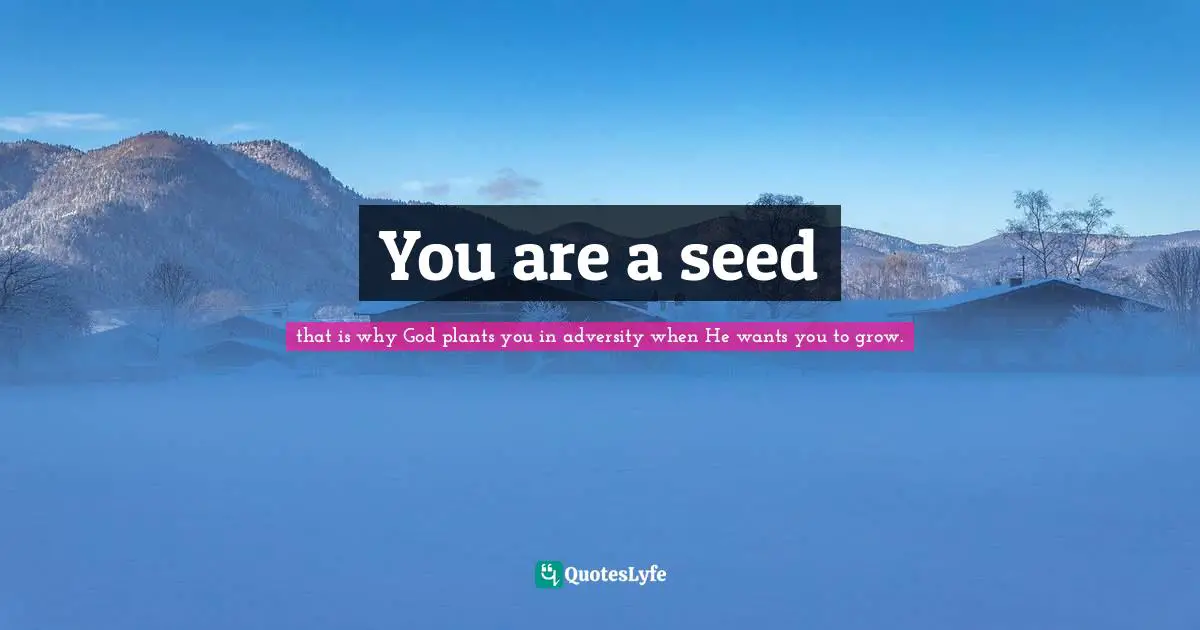 You are a seed