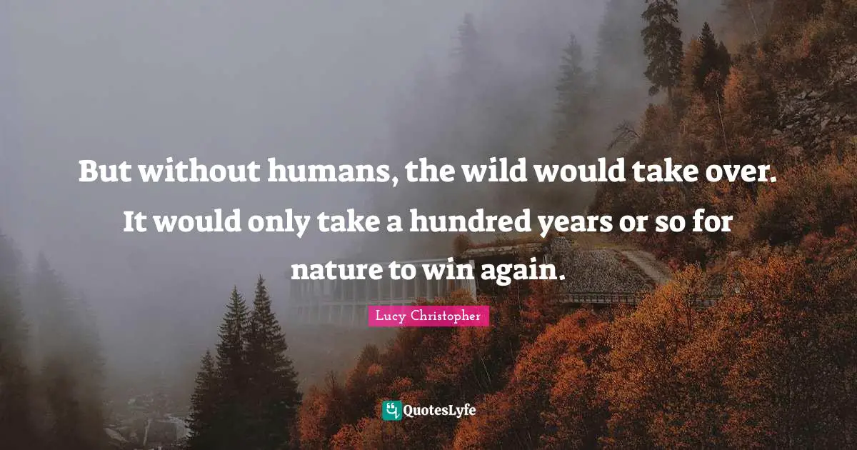 But without humans, the wild would take over. It would only take a hundred years or so for nature to win again.