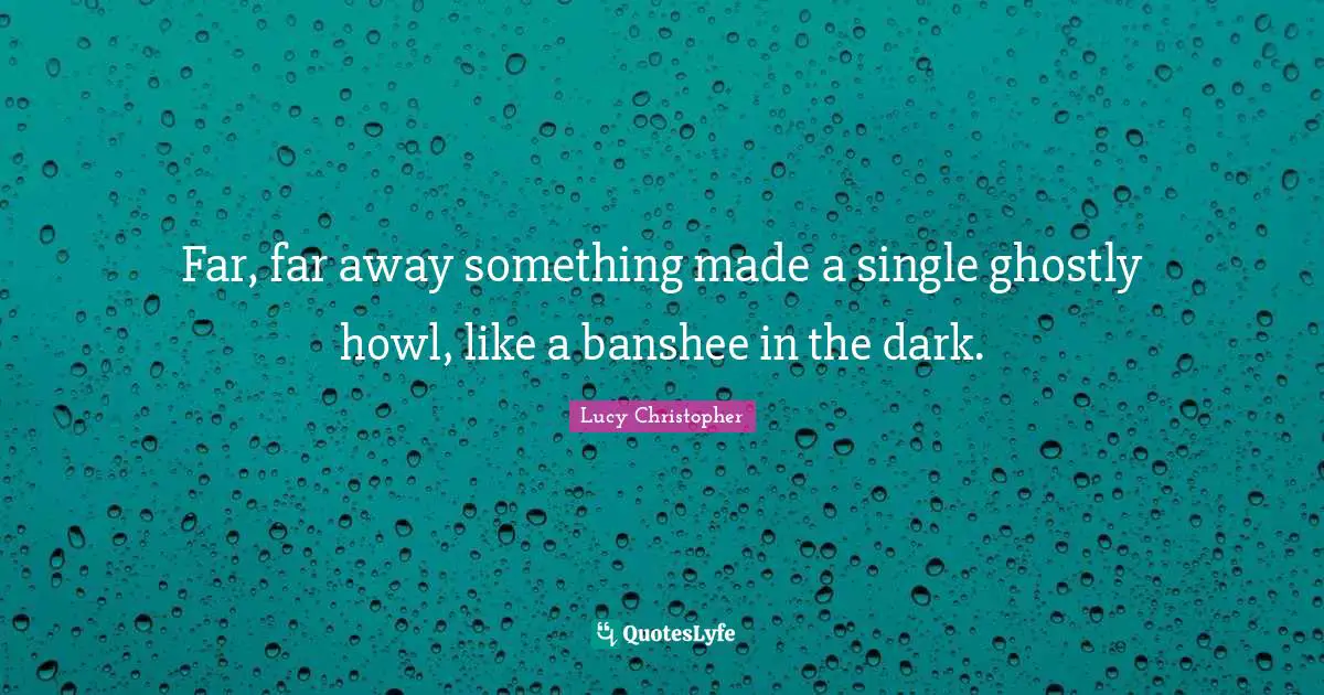 Far, far away something made a single ghostly howl, like a banshee in the dark.
