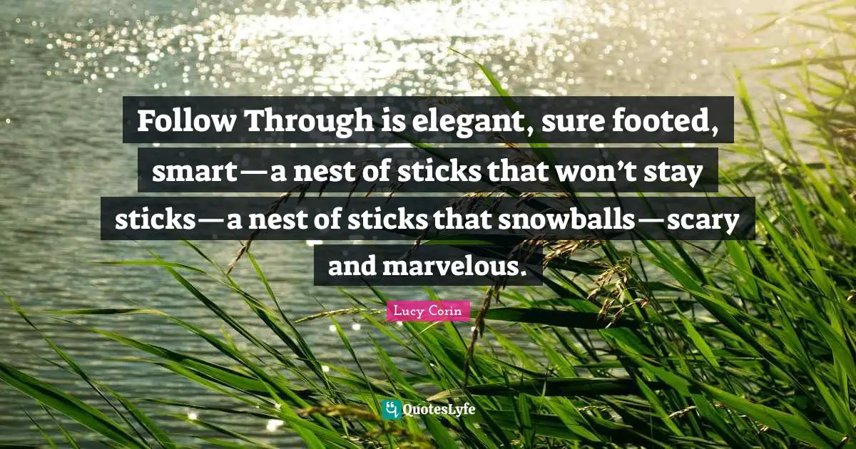Follow Through is elegant, sure footed, smart—a nest of sticks that won’t stay sticks—a nest of sticks that snowballs—scary and marvelous.