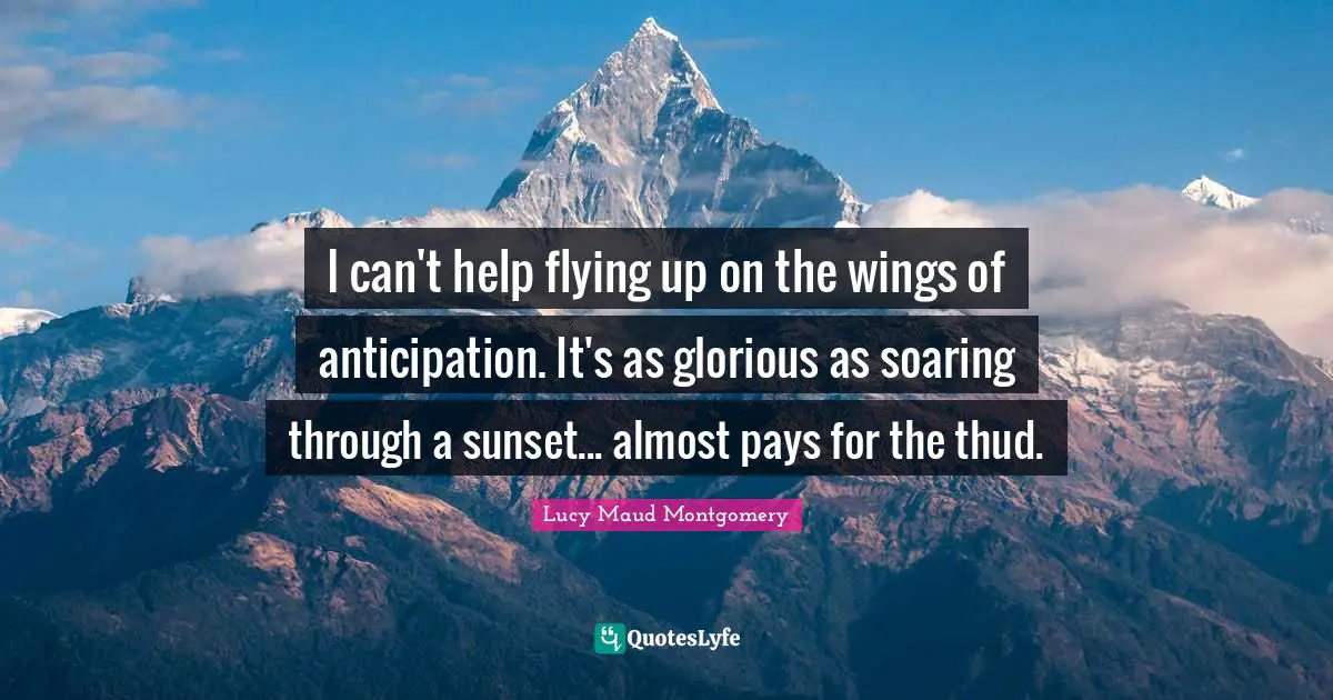 I can't help flying up on the wings of anticipation. It's as glorious as soaring through a sunset... almost pays for the thud.